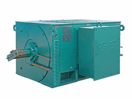 西瑪電機(jī)Y系類IP23髙壓三相電壓異步電動機(jī)